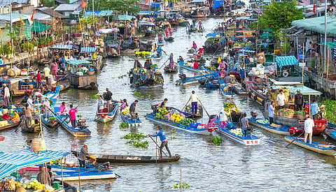 The market opens very early in the morning